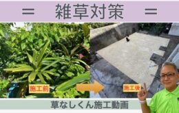 taisaku
