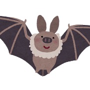 コウモリ