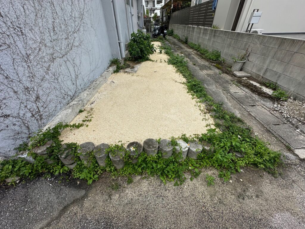 草なしくん4ヶ月後