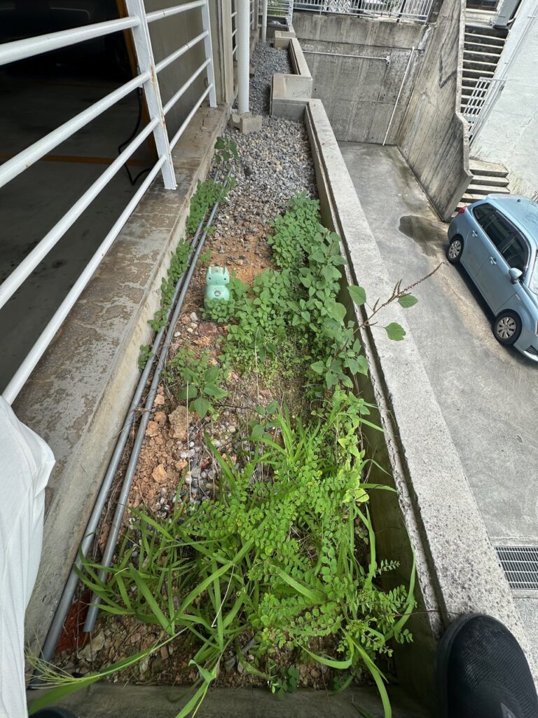 草なしくん施工前