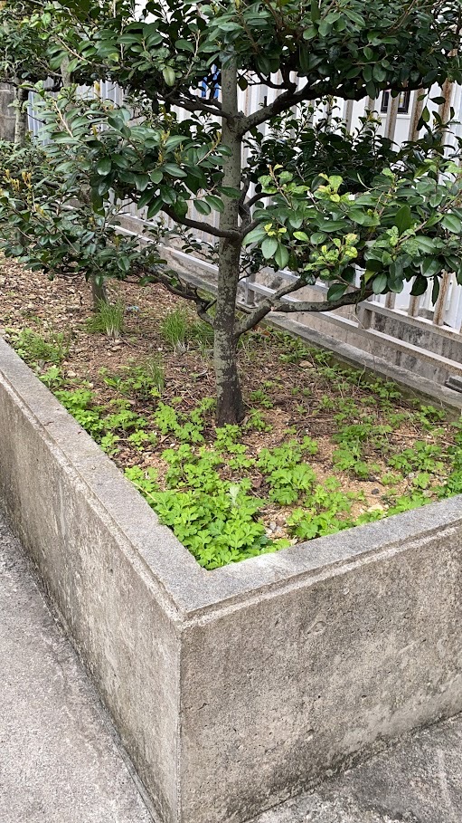 4年前