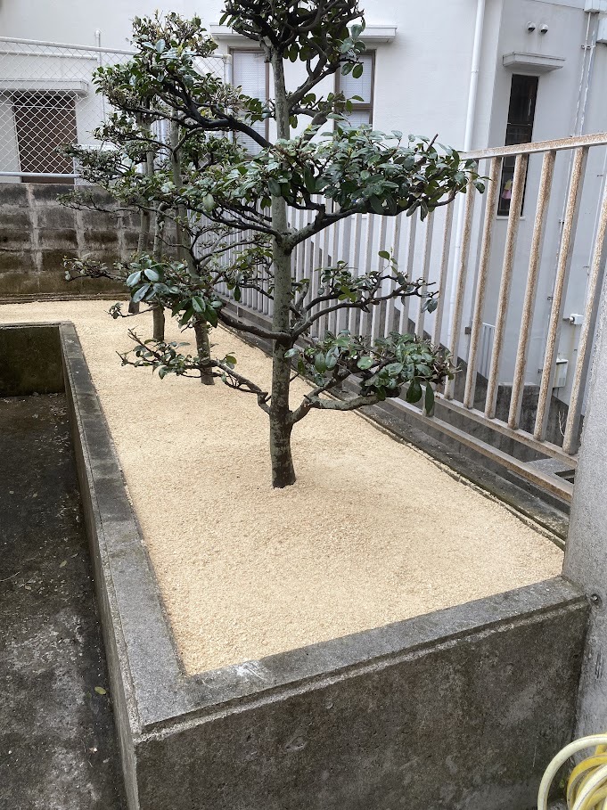 施工後