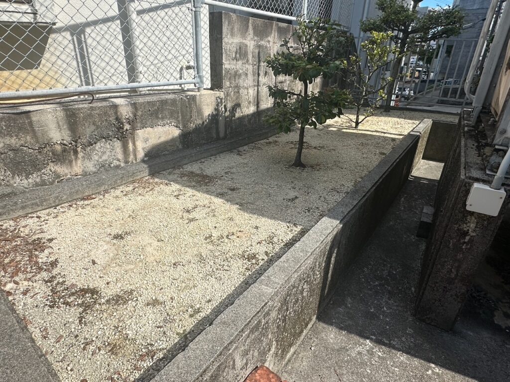 4年半経過