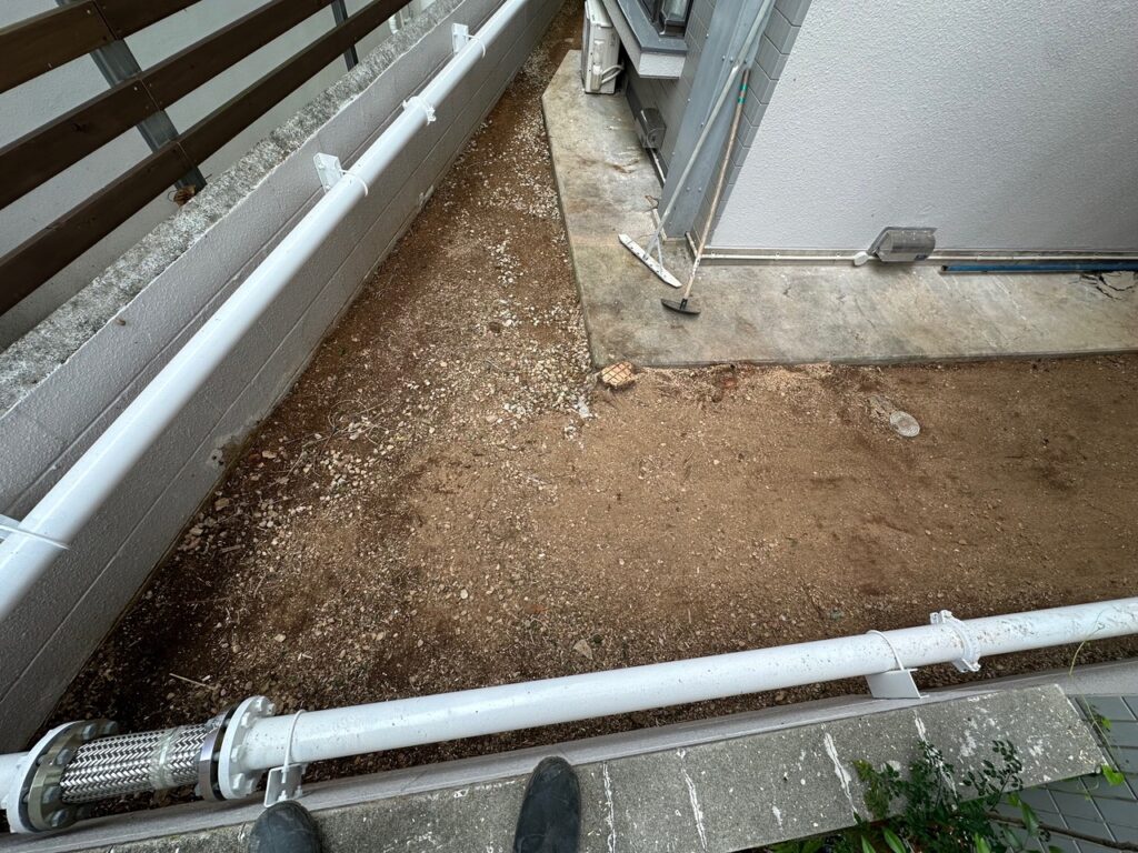 沖縄雑草　伐採後