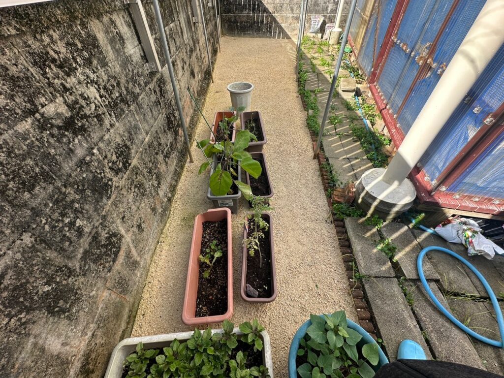 草なしくん施工後２ヶ月経過　雑草生えてません　雑草対策