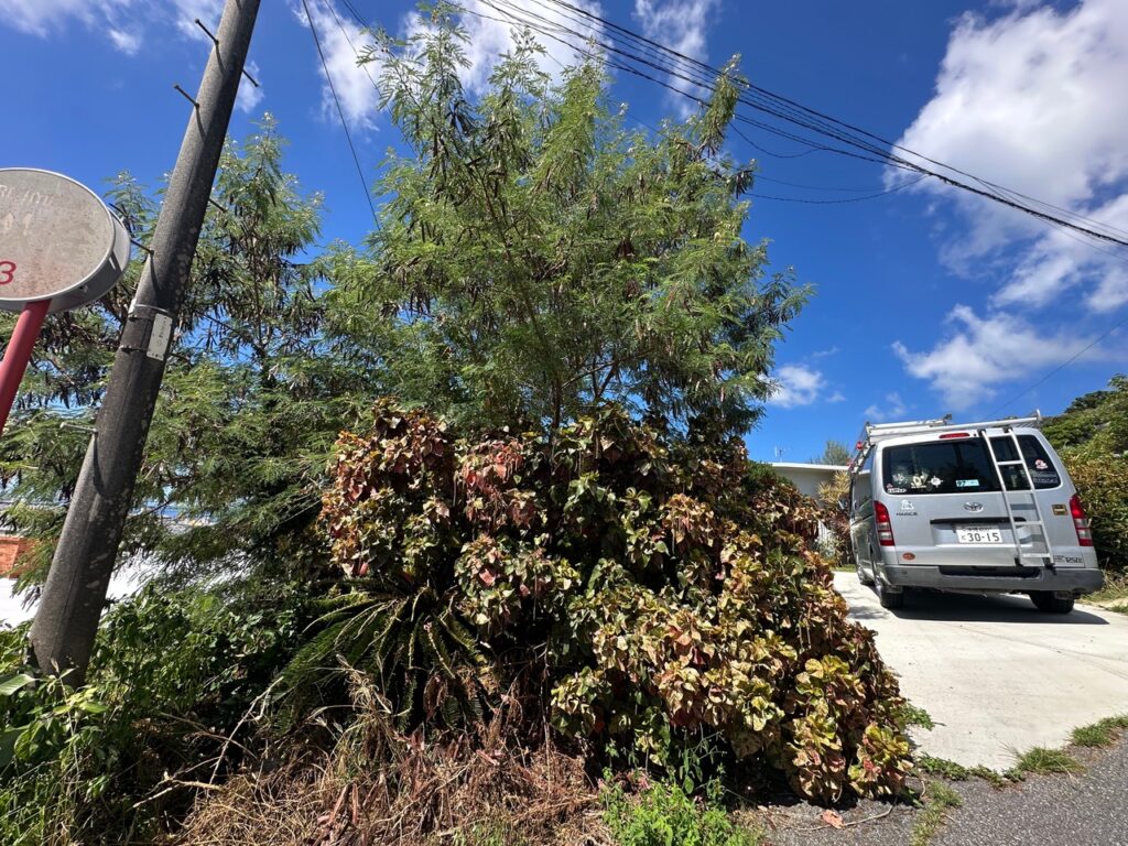 お庭 木の伐採 対策