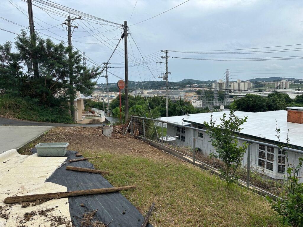 アフター 木の伐採 草なしくん