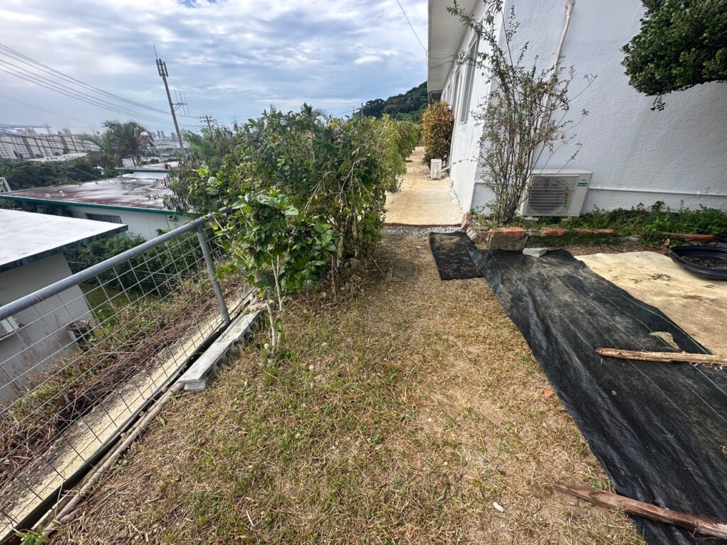 頑固な雑草対策 草刈り