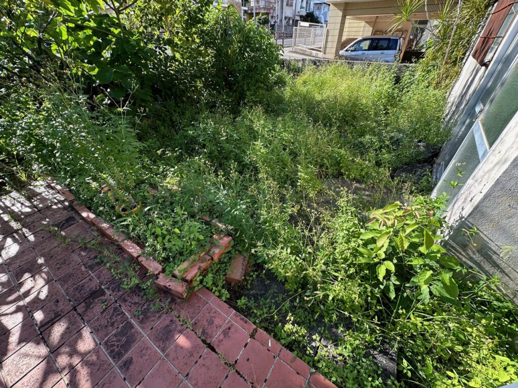 頑固な雑草 雑草対策 お庭の雑草