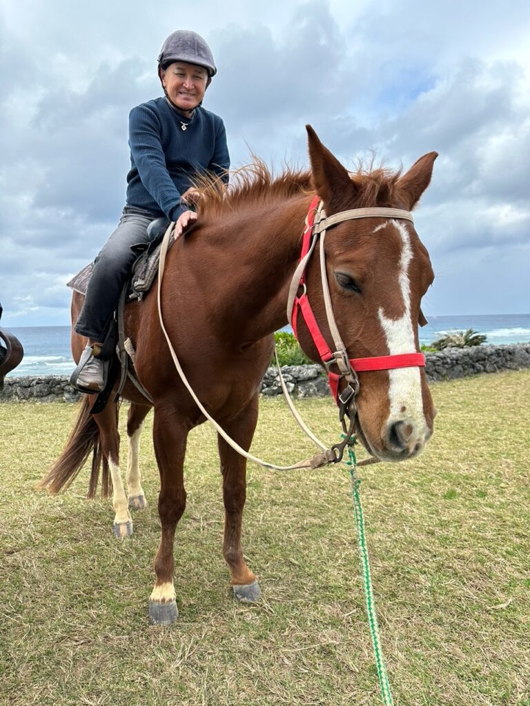 乗馬体験　馬　午年