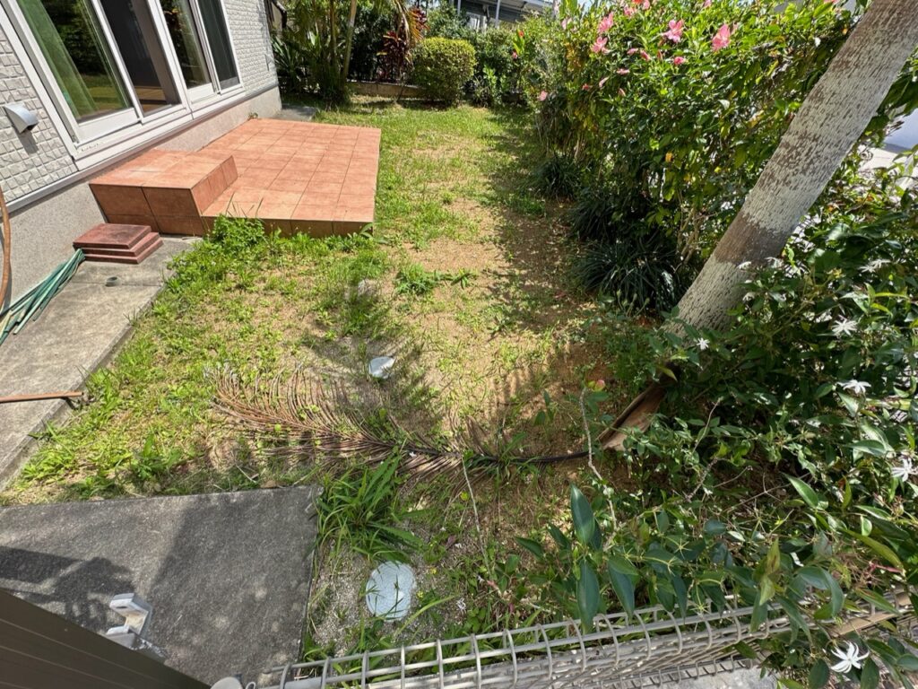 草なしくん施工前 沖縄の雑草 雑草対策