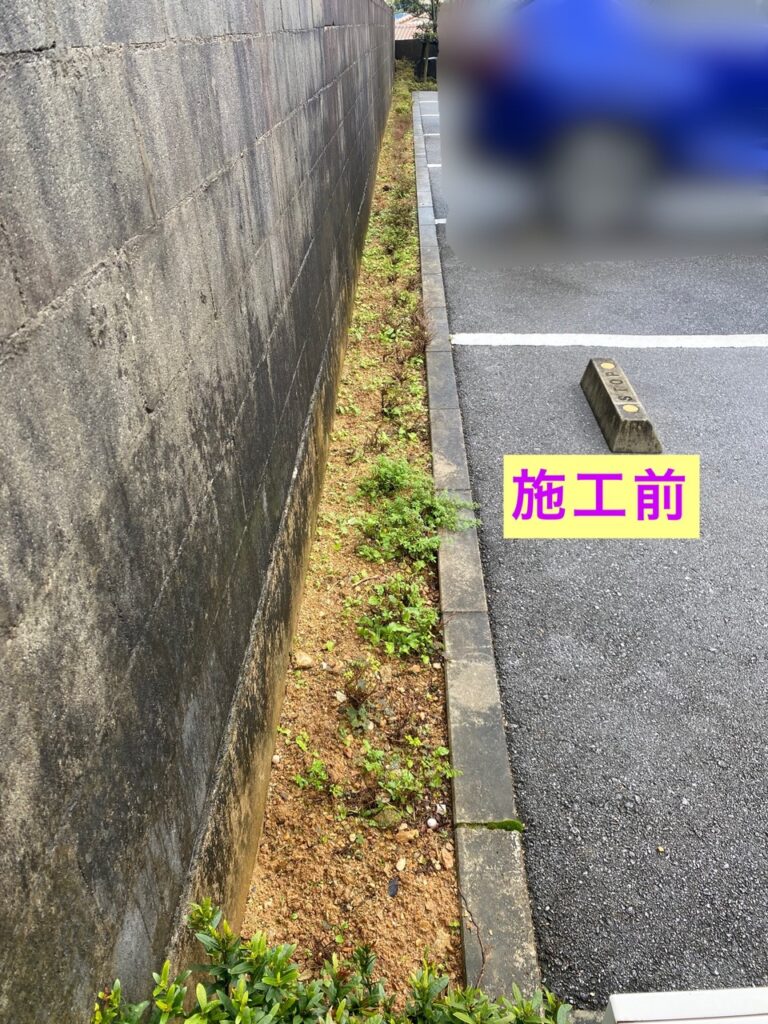草なしくん　施工前　雑草対策