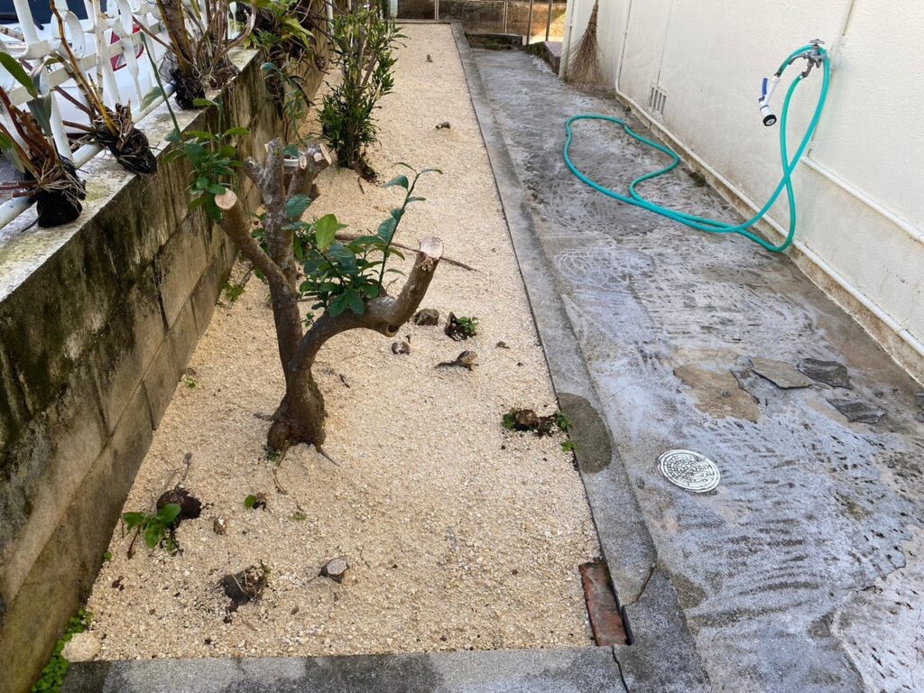 草なしくん施工後　樹木カット　雑草対策