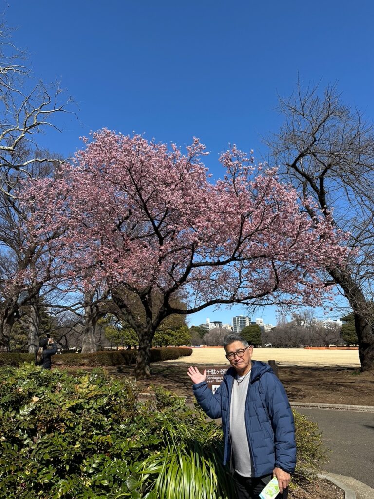 新宿御苑　桜　