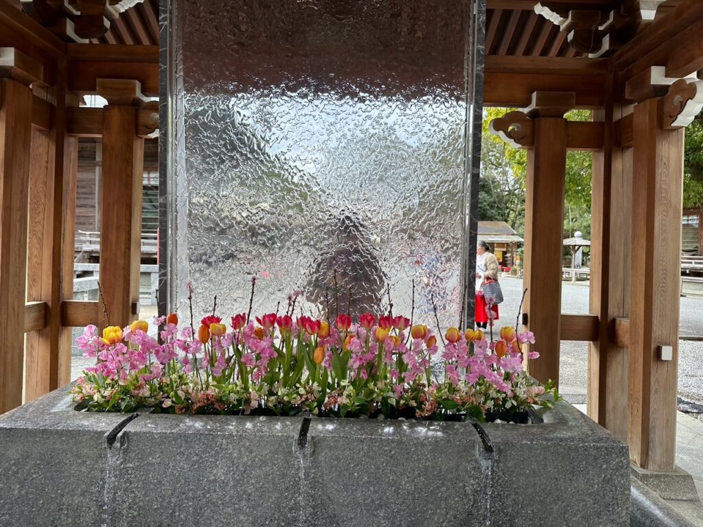 宮地嶽神社　チューリップ　福岡