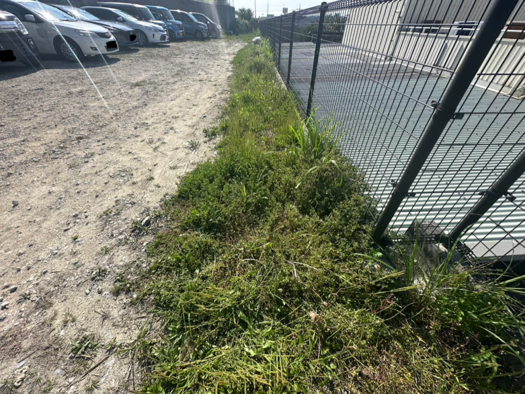 沖縄の雑草　駐車場　雑草対策