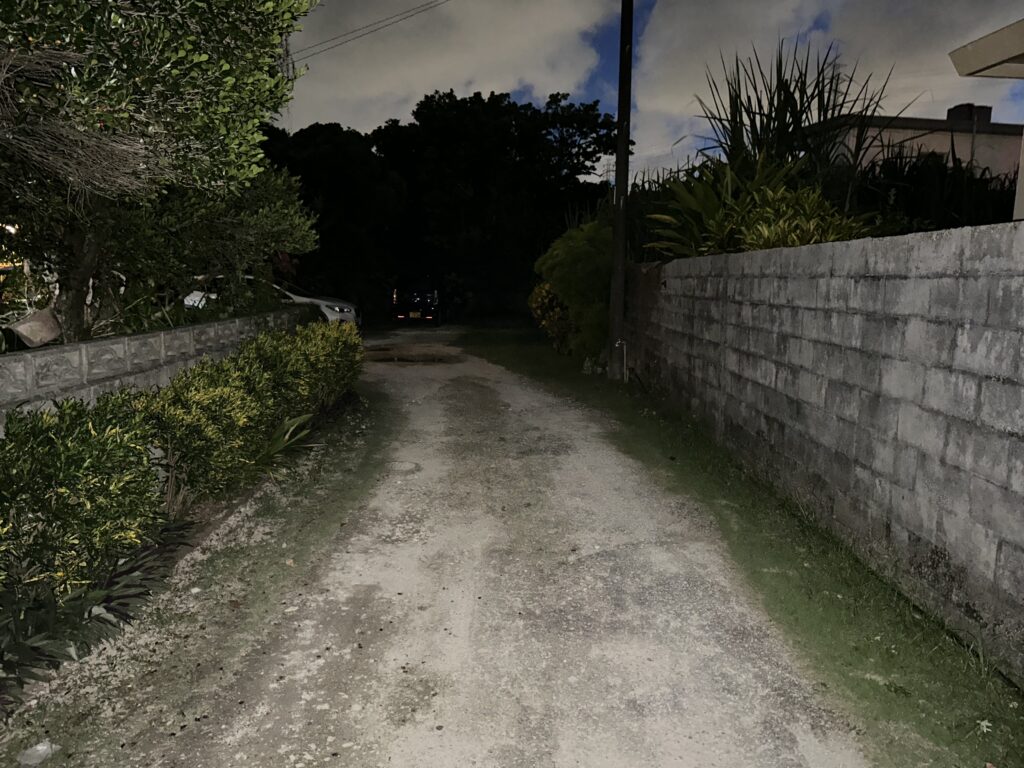 お庭　外灯無し　真っ暗