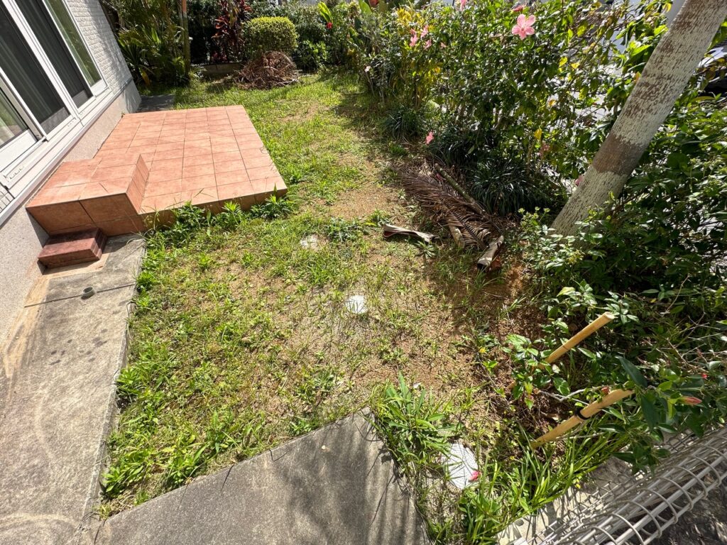 お庭の雑草　雑草対策　樹木