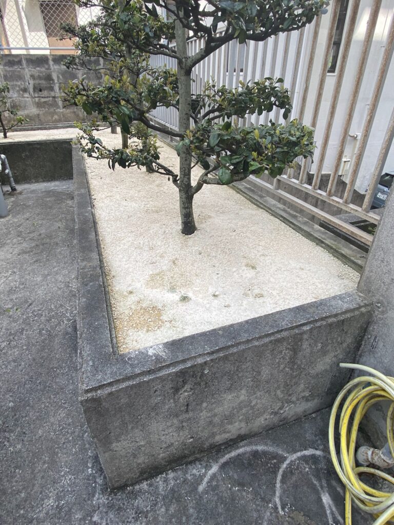 雑草対策　一年後　雑草生えてない