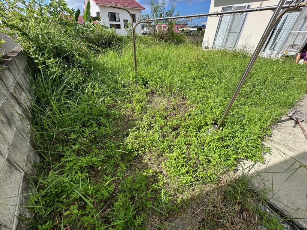 お庭雑草対策　沖縄の雑草　頑固な雑草