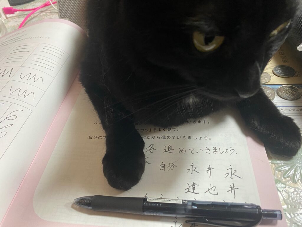 勉強の邪魔 応援 ネコ