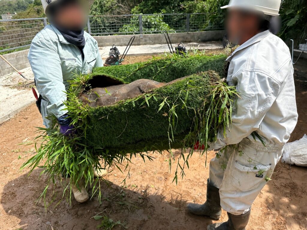 人工芝撤去　重い　ガーデニング