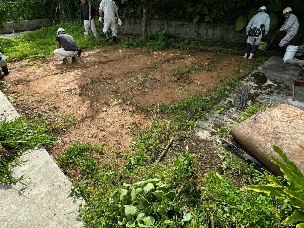 人工芝撤去　間から雑草　頑固な雑草