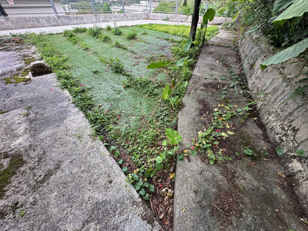 人工芝　雑草対策　頑固な雑草