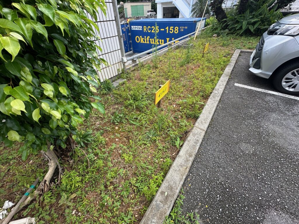 草なしくん　施工前　雑草対策