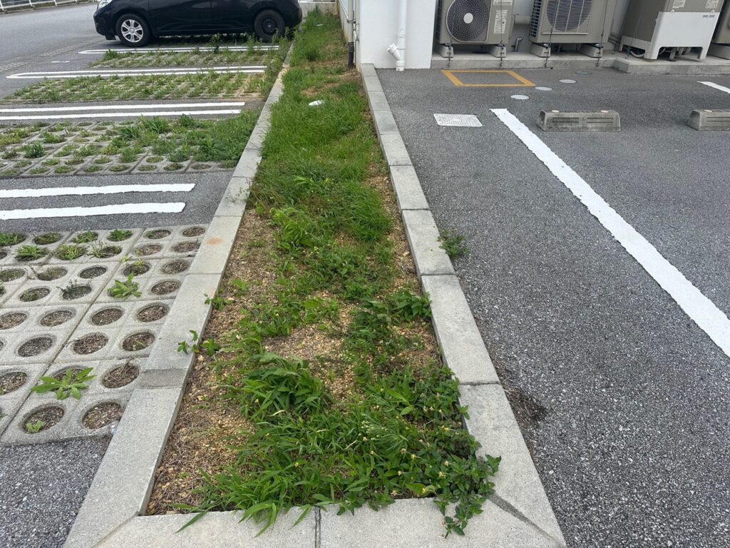 雑草　草かり　雑草対策