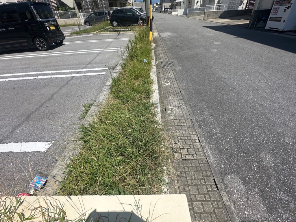 雑草　草刈り　管理