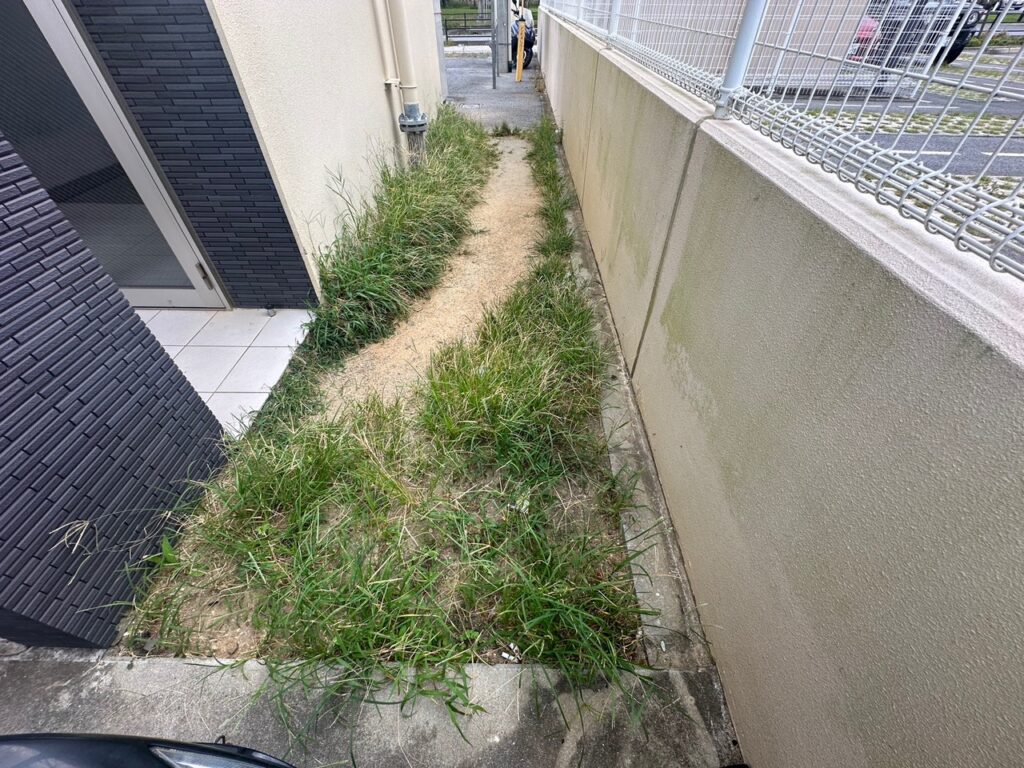 雑草　草刈り　管理
