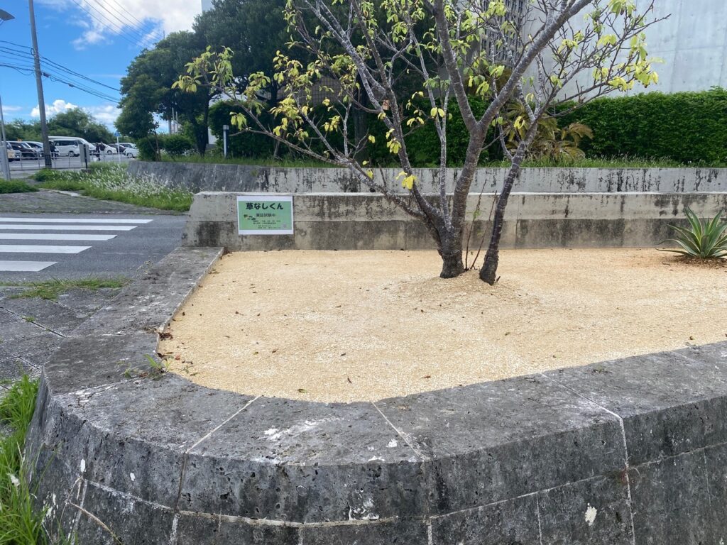 浦添市　テスト施工　雑草対策