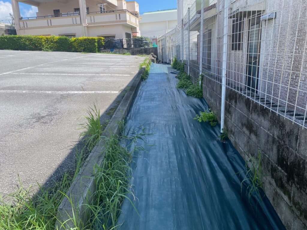 隙間から雑草 沖縄の雑草 雑草対策
