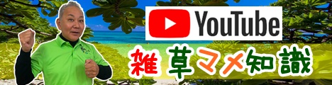 Youtube再生リスト雑草マメ知識