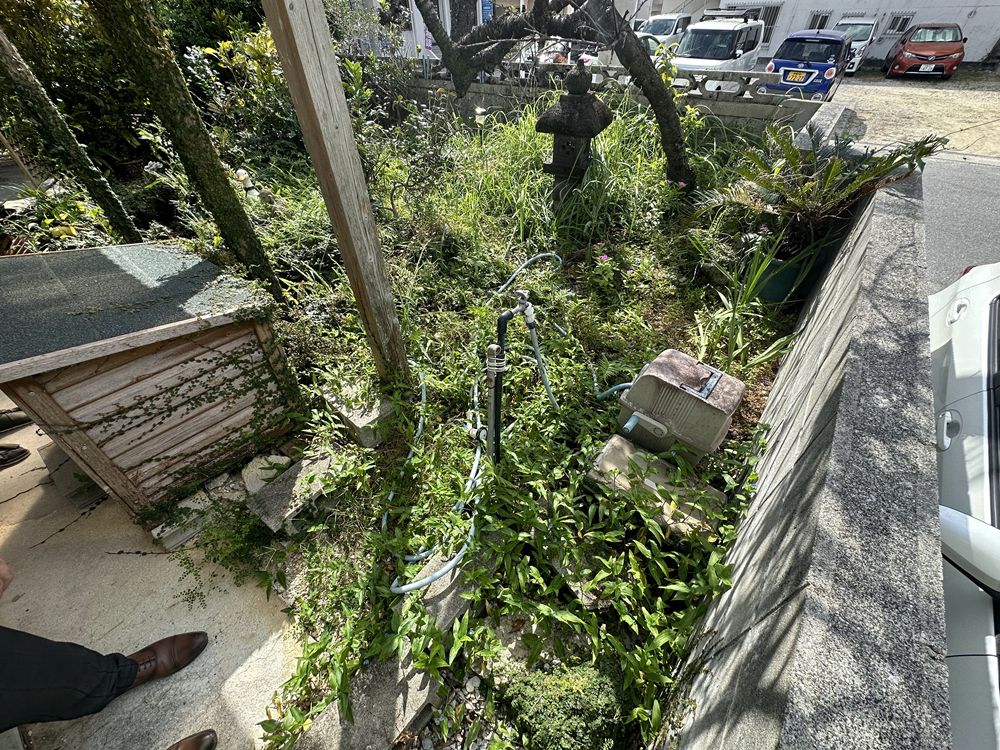 施工前：雑草が生い茂っている状態