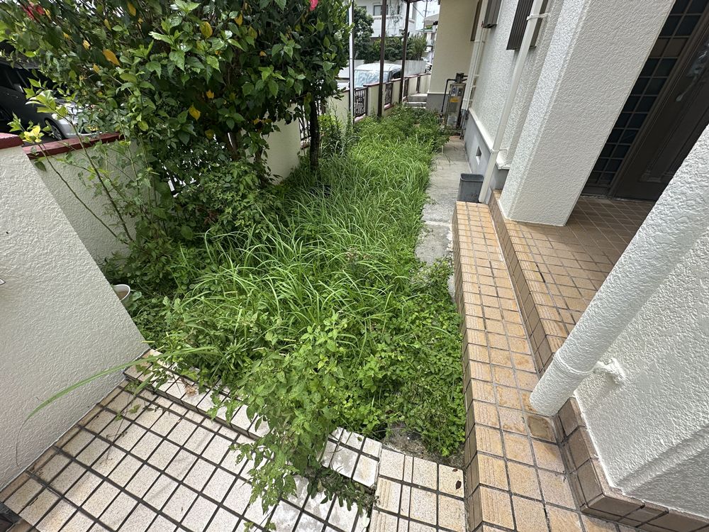 施工前：雑草が生い茂っている状態