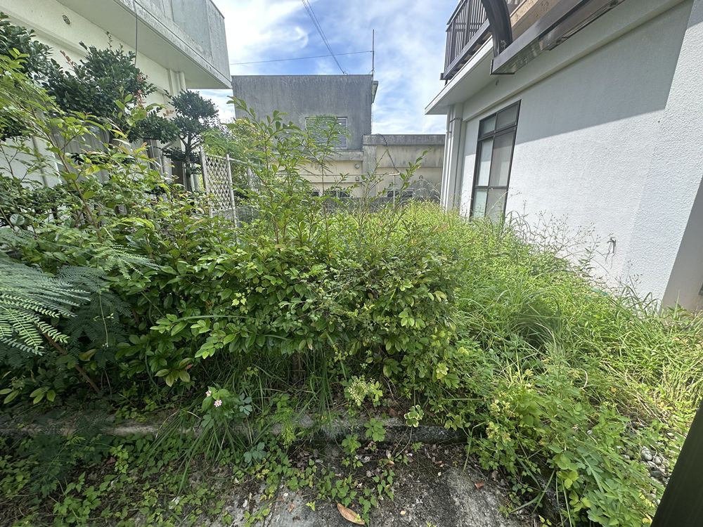 施工前：雑草が生い茂っている状態