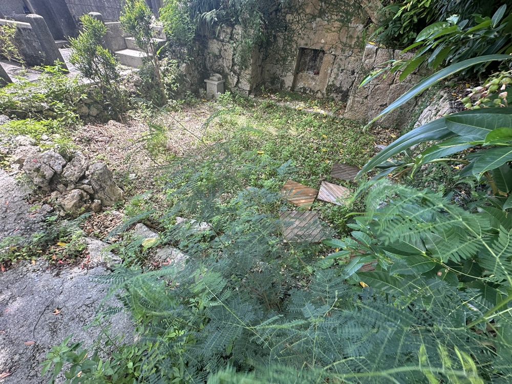 施工前：雑草が生い茂っている状態